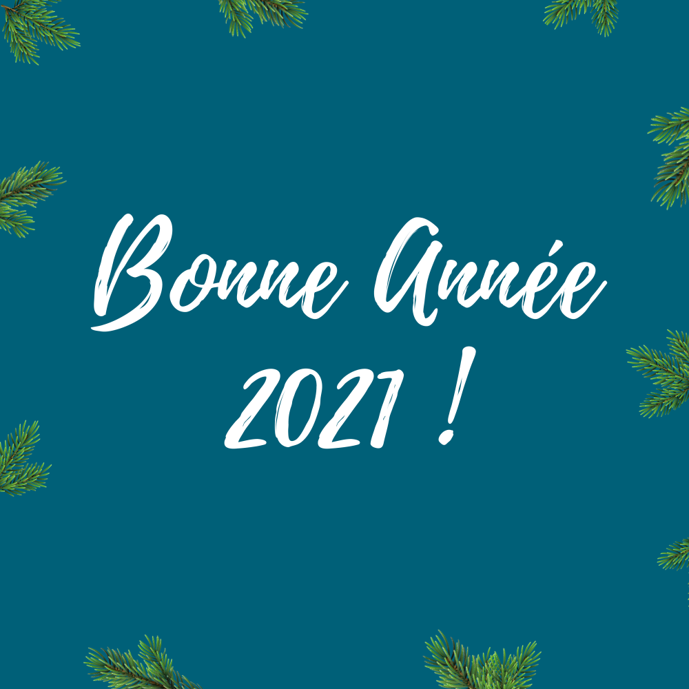 Bonne année 2021 !